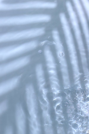 Blue water and palm tree shadow and ter splash, tropical backgroundの写真素材