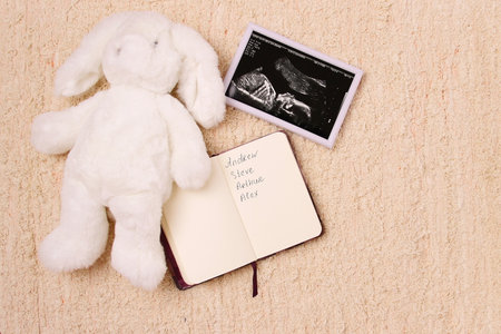 Ultrasound baby picture, fluffy toy