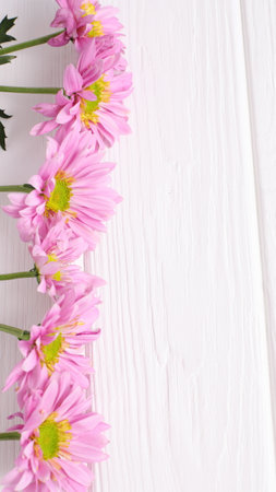 Pink daisy flowers on white wooden background, floral decorationの写真素材
