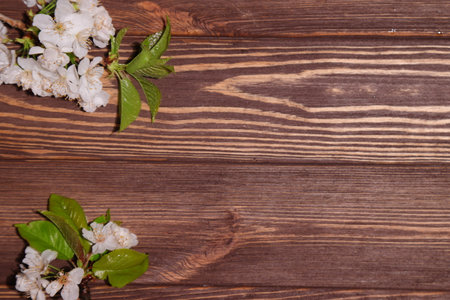 Cherry blooming flowers on wooden table, floral backgroundの写真素材