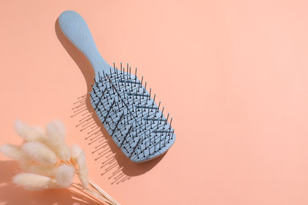 Hairbrush, modern brush for hair, accessories, copy spaceの写真素材