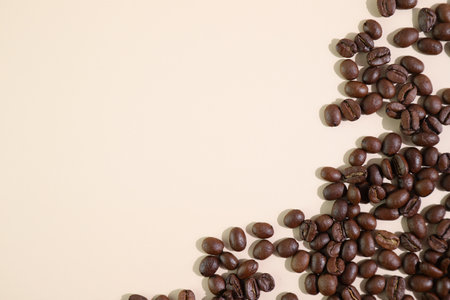 Roasted coffee beans background, space for text