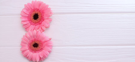 Pink natural gerbera flowers on white wooden background, copy spaceの写真素材