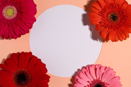 Gerbera flowers different colors, colorful floral background, flora conceptの写真素材