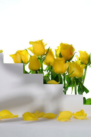 Product blank podium, cosmetic presentation platform, yellow roses on backgroundの写真素材