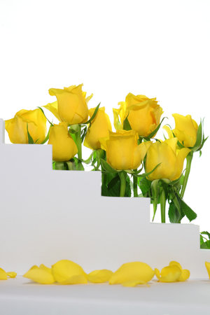 Product blank podium, cosmetic presentation platform, yellow roses on backgroundの写真素材