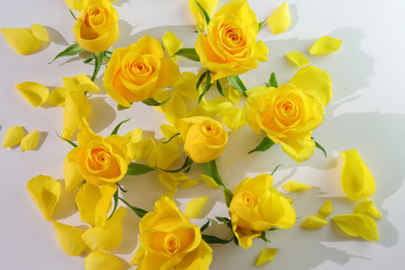 Natural yellow roses background, floral podium, romantic mockupの写真素材