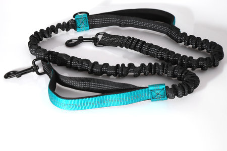 Black and green dog leash, pet accessoriesの写真素材