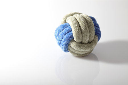 Dog robe ball, pet toy on white backgroundの写真素材