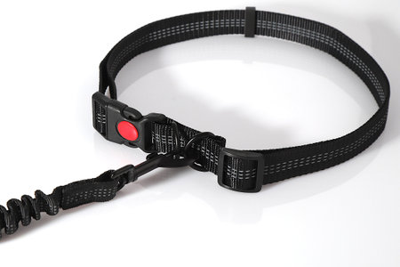 Hand free dog leash, belt for walking with pet, canine accessoryの写真素材