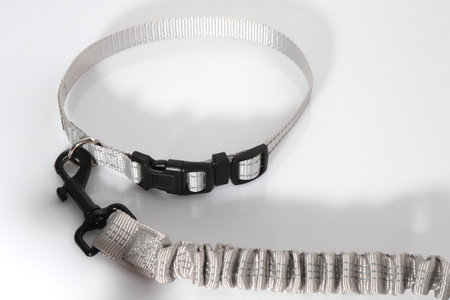 Gray dog neck collar with leash, pet accessories for walkの写真素材