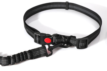 Hand free dog leash, belt for walking with pet, canine accessoryの写真素材