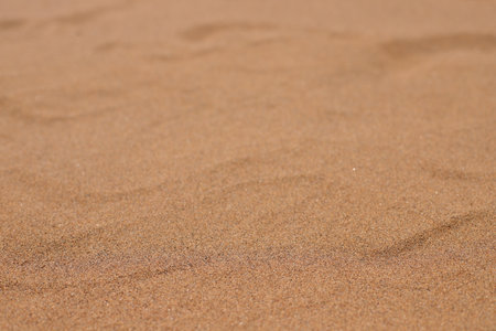 Natural beach sand background, sandy patternの写真素材