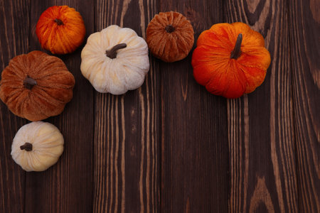 Textile pumpkin home decoration, autumn seasonal holidaysの写真素材