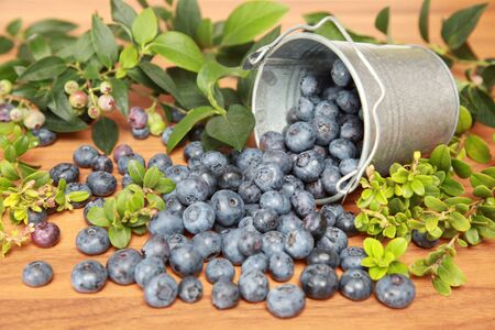 Blueberries and leaves on a wooden table falling out of a bucketの写真素材
