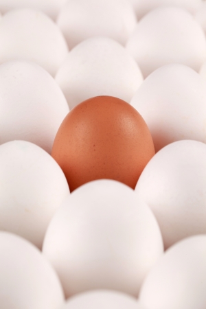 One brown egg surrounded by white eggs in a box. The focus is on the brown egg.の写真素材