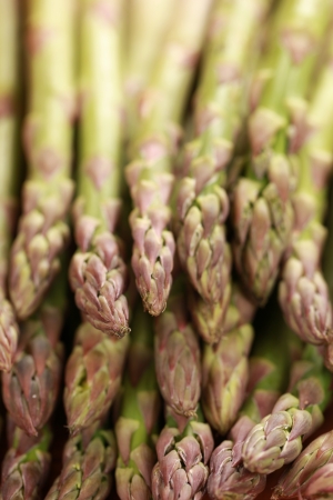 Close-up of fresh harvested green asparagus one upon anotherの写真素材
