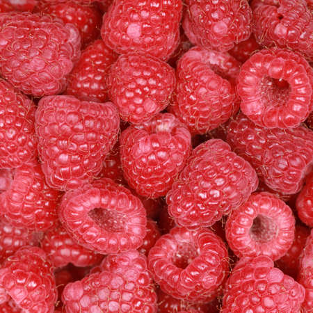 Many raspberries side by side form a background