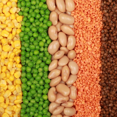 Beans, lentils, peas and corn in a rowの写真素材