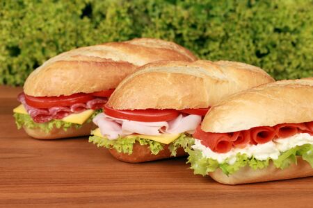 Fresh baguettes with ham, salami and smoked salmonの写真素材