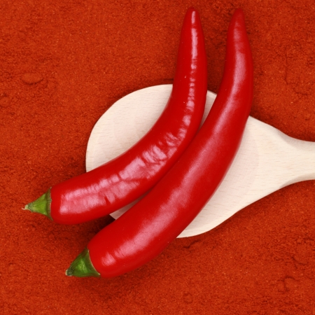 A wooden spoon with red pepper on paprika powderの写真素材