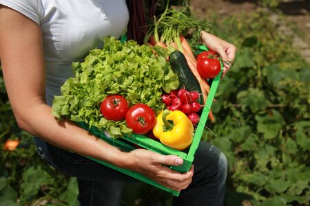 A woman is holding a box with fresh vegetablesの写真素材