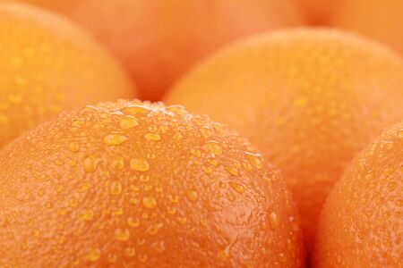 Closeup of fresh oranges with water dropsの写真素材