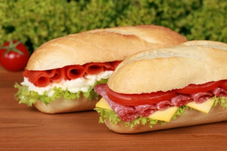 Fresh sandwiches with lettuce, cheese, salami and smoked salmonの写真素材