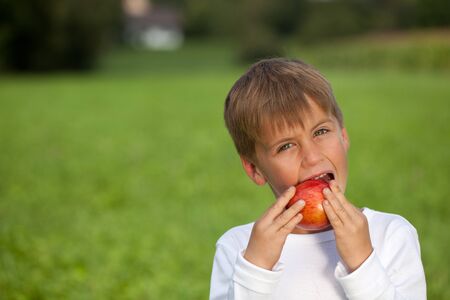 Little boy eats an apple on a meadow. Blurred background.の写真素材