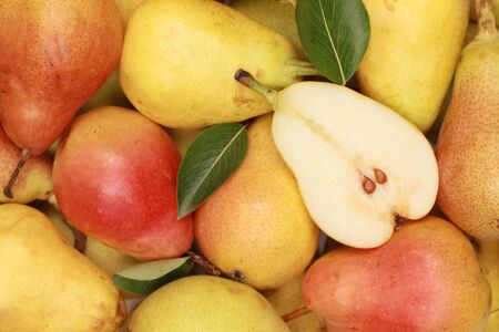 Collection of fresh pears with leaves forming a backgroundの写真素材