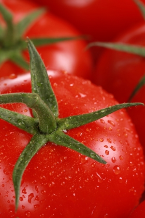 Closeup of a ripe tomato with water dropsの写真素材