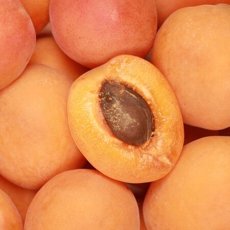 Closeup of a group of ripe apricotsの写真素材