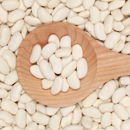 Collection of white beans on a wooden spoon forming a backgroundの写真素材
