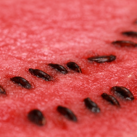 Close-up of a slice of ripe, red watermelonの写真素材