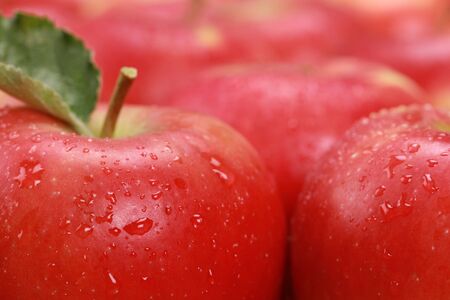 Closeup of red apples with water drops, selective focus.の写真素材