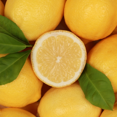 Collection of fresh lemons with their leaves and a sliced lemonの写真素材