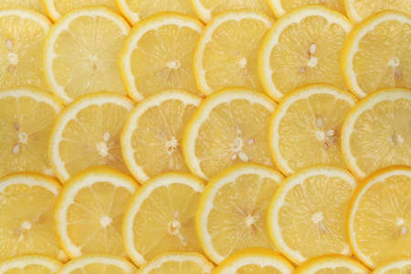 Collection of sliced lemons forming a backgroundの写真素材