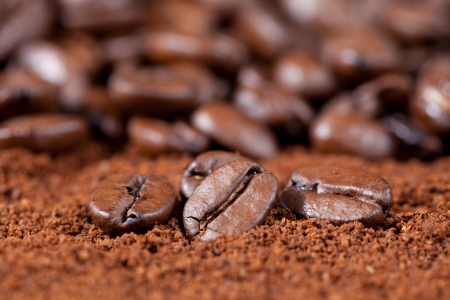 Macro shot of coffee beans on coffee powder with copyspaceの写真素材