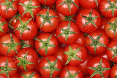 Group of small cocktail tomatoes forming a backgroundの写真素材
