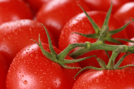 Closeup shot of fresh tomatoes with water drops and shallow depth of fieldの写真素材