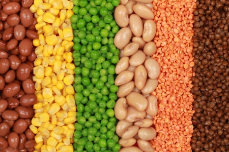 Collection of lentils, peas, beans and corn in a rowの写真素材