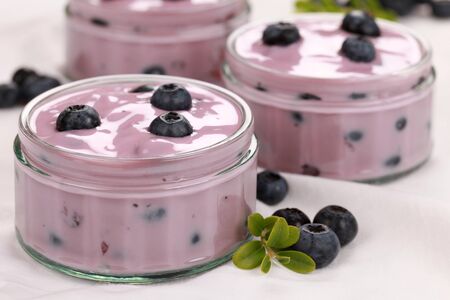 Blueberry yogurt in glass bowls served with fresh blueberries and decorated with leavesの写真素材
