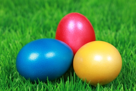 Colorful Easter eggs on a green meadowの写真素材