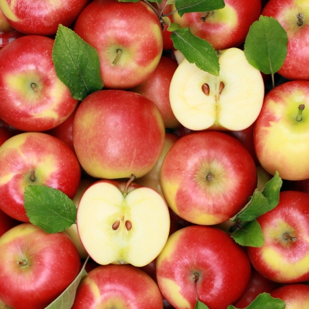 Collection of red apples with their leaves forming a backgroundの写真素材