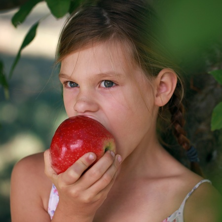 Little girl biting into an apple under an apple tree. Shallow depth of field.の写真素材
