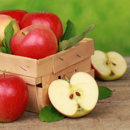 Freshly picked apples with leaves in a wooden box
の写真素材