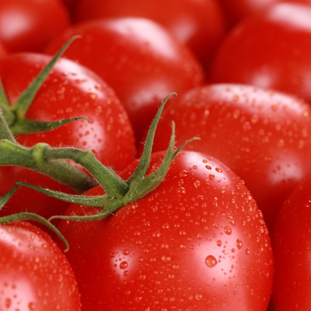 Macro shot of fresh tomatoes with water dropsの写真素材