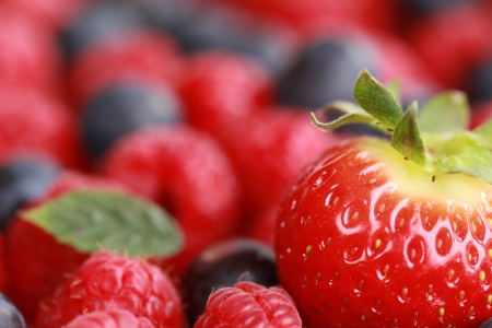 Focus on the strawberry, berries in the background forming a copy space