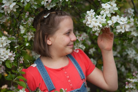 Young girl under a blooming apple tree in springの写真素材