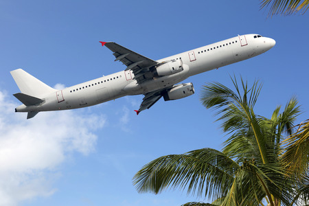 An Airplane taking off between palm trees into vacation during a journeyの写真素材